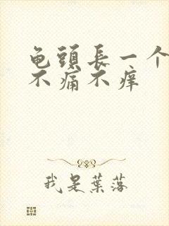 龟头长一个肉粒不痛不痒封面