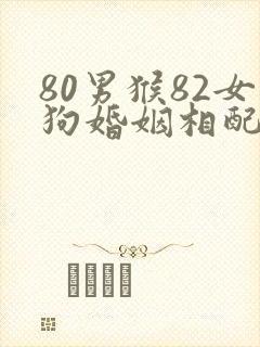 80男猴82女狗婚姻相配好吗