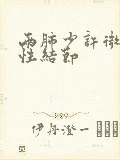 两肺少许微小实性结节