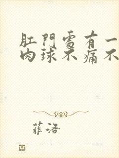 肛门处有一个小肉球不痛不痒封面