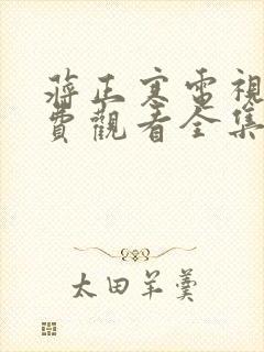 蒋正寒电视剧免费观看全集封面