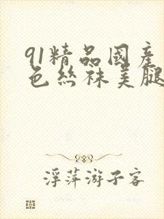 91精品国产黑色丝袜美腿