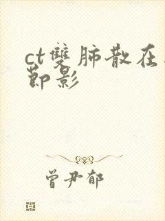 ct双肺散在结节影