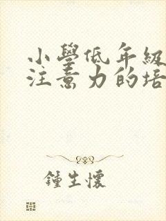 小学低年级学生注意力的培养