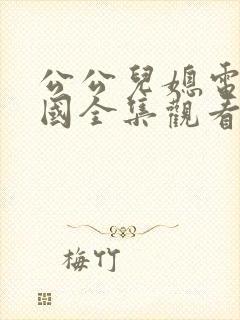 公公儿媳电影韩国全集观看