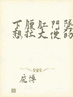 下腹肛门坠痛总想拉大便的感觉女性封面