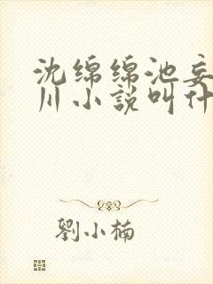 沈绵绵池妄顾泊川小说叫什么名字