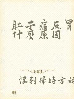 肚子痛反胃呕吐什么原因