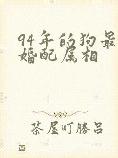 94年的狗最佳婚配属相