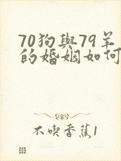 70狗与79羊的婚姻如何