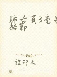 肺右页3毫米小结节