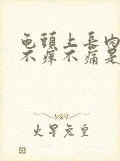 龟头上长肉疙瘩不痒不痛是怎么回事