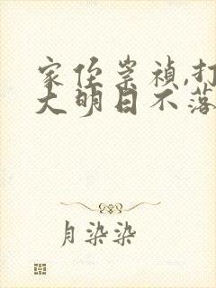 家侄崇祯,打造大明日不落免费阅读全文