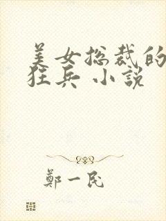 美女总裁的极品狂兵 小说