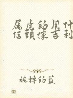 属虎的用什么微信头像吉利,招财封面