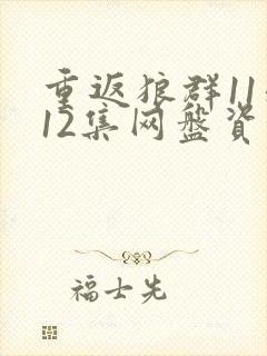 重返狼群11和12集网盘资源