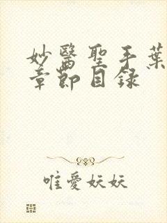 妙医圣手叶皓轩章节目录