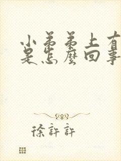 小弟弟上有疙瘩是怎么回事