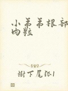 小弟弟根部 小肉粒