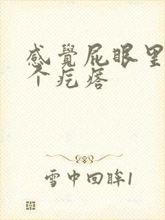 感觉屁眼里长了个疙瘩