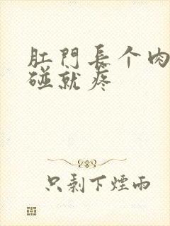 肛门长个肉球一碰就疼