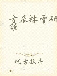 方辰林雪研的小说