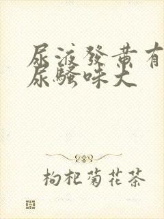 尿液发黄有泡沫尿骚味大封面