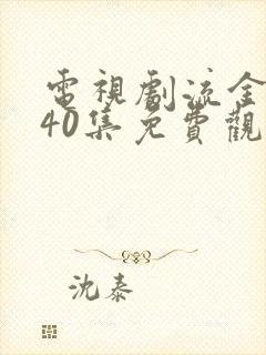 电视剧流金岁月40集免费观看