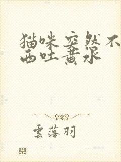 猫咪突然不吃东西吐黄水