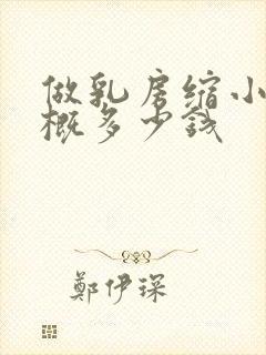 做乳房缩小术大概多少钱