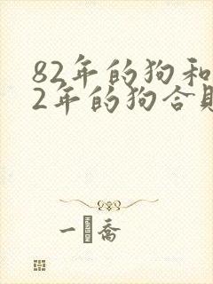 82年的狗和82年的狗合财吗封面