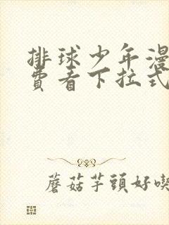 排球少年漫画免费看下拉式封面