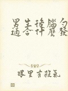 男生后脑勺较平适合什么发型