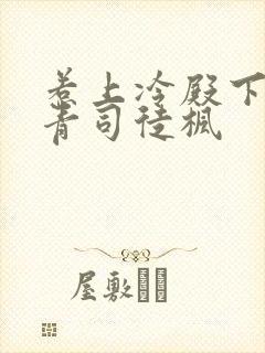 惹上冷殿下陈青青司徒枫