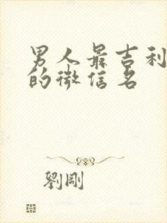 男人最吉利旺财的微信名