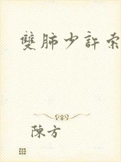 双肺少许索条影