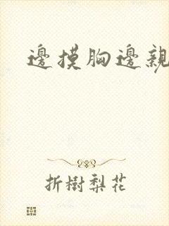 边摸胸边亲视频