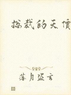 总裁的天价宠妻