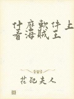 什么软件上可以看海贼王