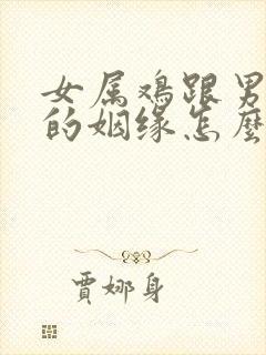 女属鸡跟男属狗的姻缘怎么样