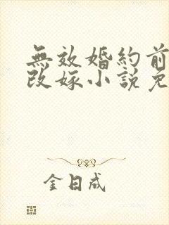 无效婚约前妻要改嫁小说免费阅读封面