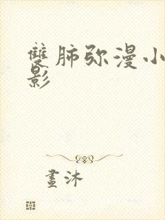 双肺弥漫小结节影封面