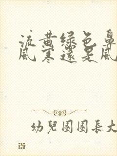 流黄绿色鼻涕是风寒还是风热封面