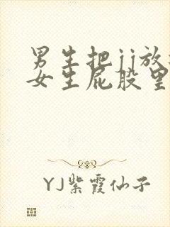 男生把jj放进女生屁股里的视频