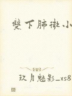 双下肺微小结节