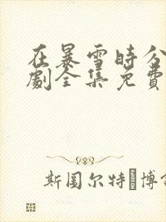 在暴雪时分电视剧全集免费完整版