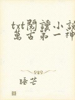 txt阅读小说万古第一神