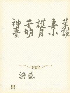 神子护妻叶玄澹台明月小说