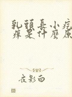 乳头长小疙瘩很痒是什么原因