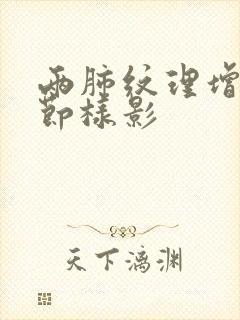 两肺纹理增多结节样影